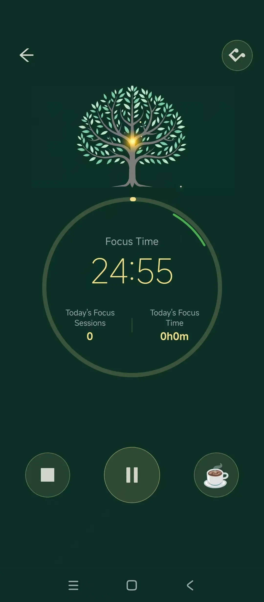RuJing focus mode interface - pomodoro timer and concentration sound effects